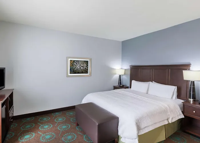 Hampton Inn & Suites Shreveport/Bossier City At Airline Drive